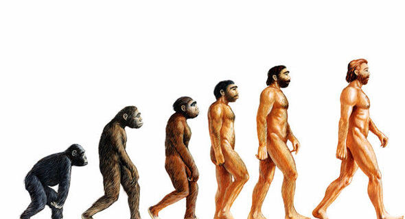 The Study of Human Evolution